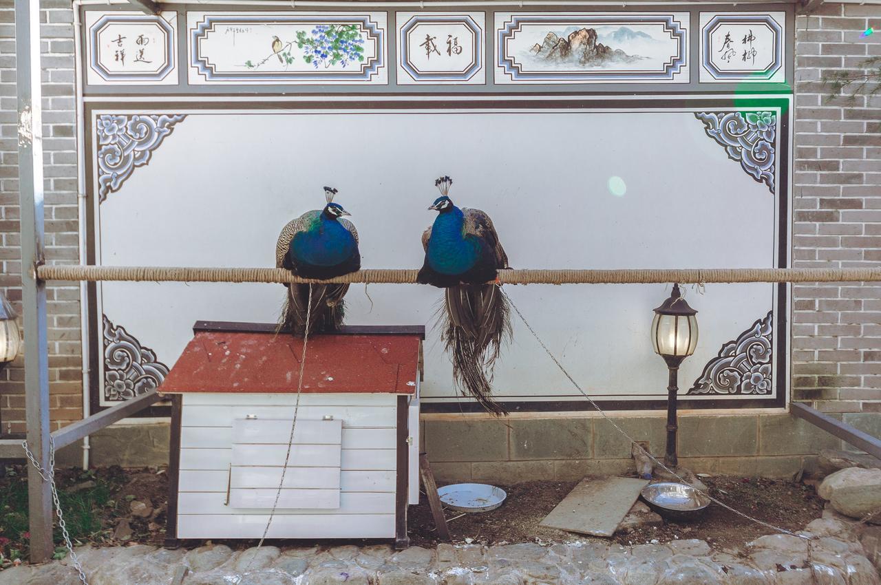 Yinfeng Hotel Dali (Yunnan) Exterior foto